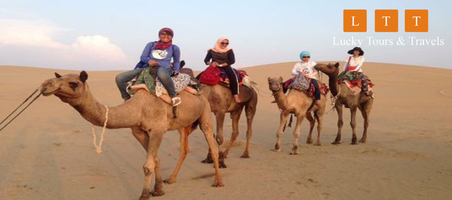 Camel Safari with Night Stay in Swiss Tent