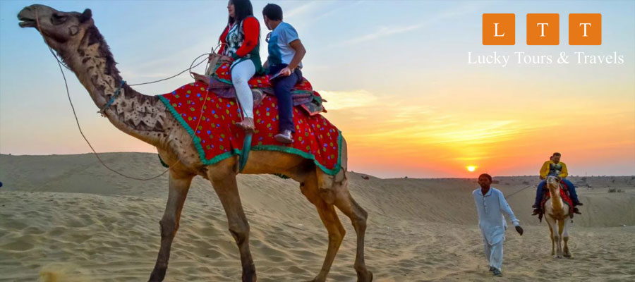 Camel Safari with Cultural Program and Dinner